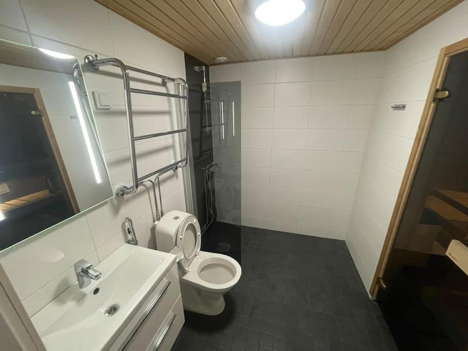 Tilava Kaksio, Saunalla Ja Saehkoeauton Latauksella. Tampere Kültér fotó